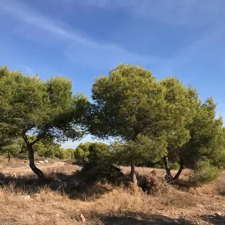 Kyrah Torrevieja